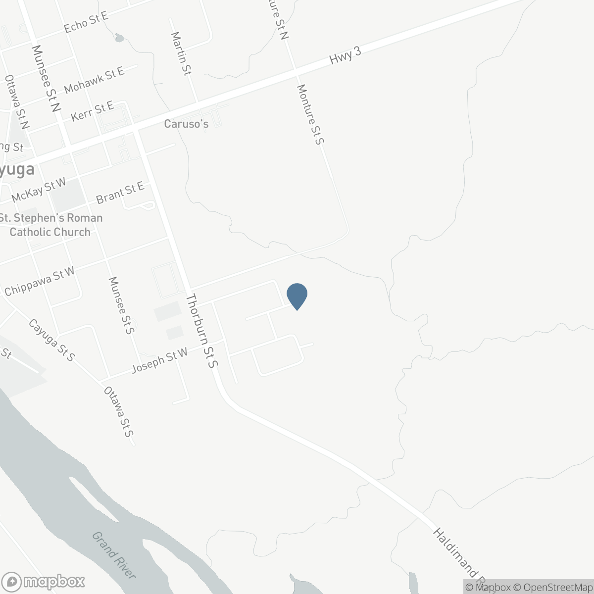 122 PIKE CREEK Drive, Cayuga, Ontario N0A 1E0
